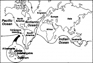 Voyage of Darwin