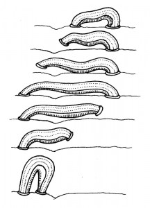 531744_orig