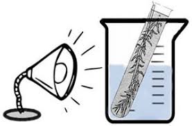 Photosynthesis measurement