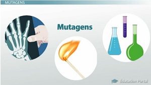 mutagens