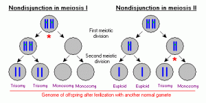 nondisj