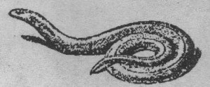 2f